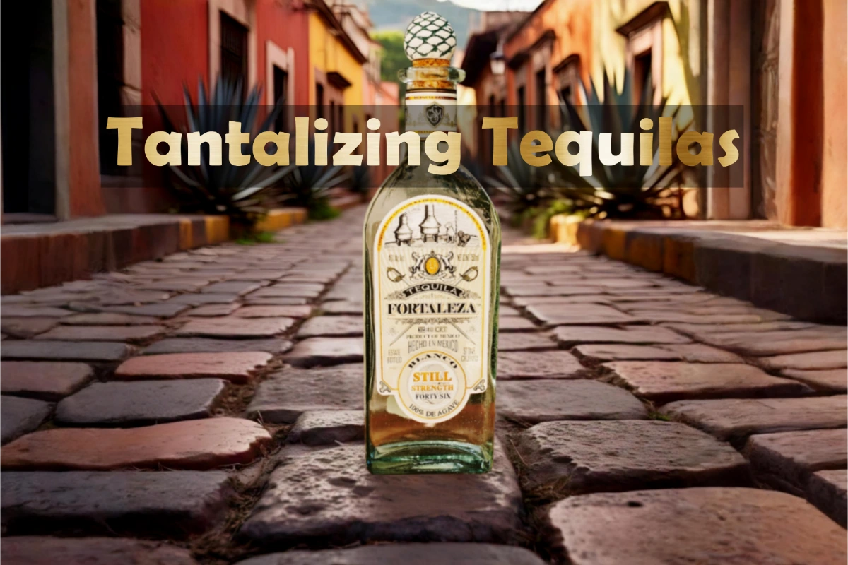 tequila banner